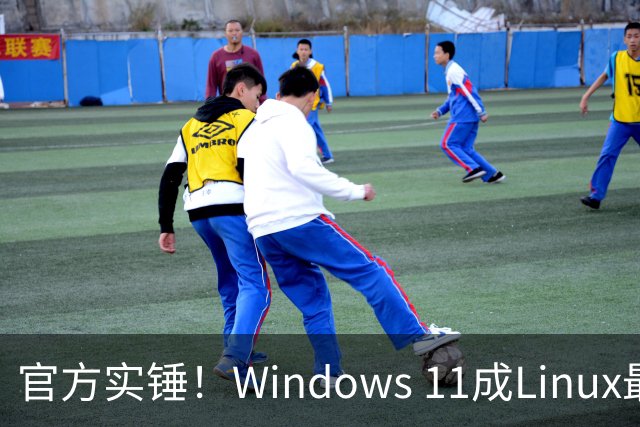 官方实锤！Windows 11成Linux最大宿主，WSL Ubuntu安装量将超原生