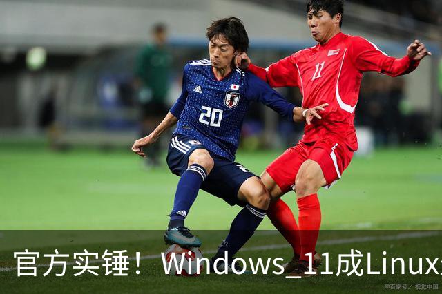 官方实锤！Windows 11成Linux最大宿主，WSL Ubuntu安装量将超原生